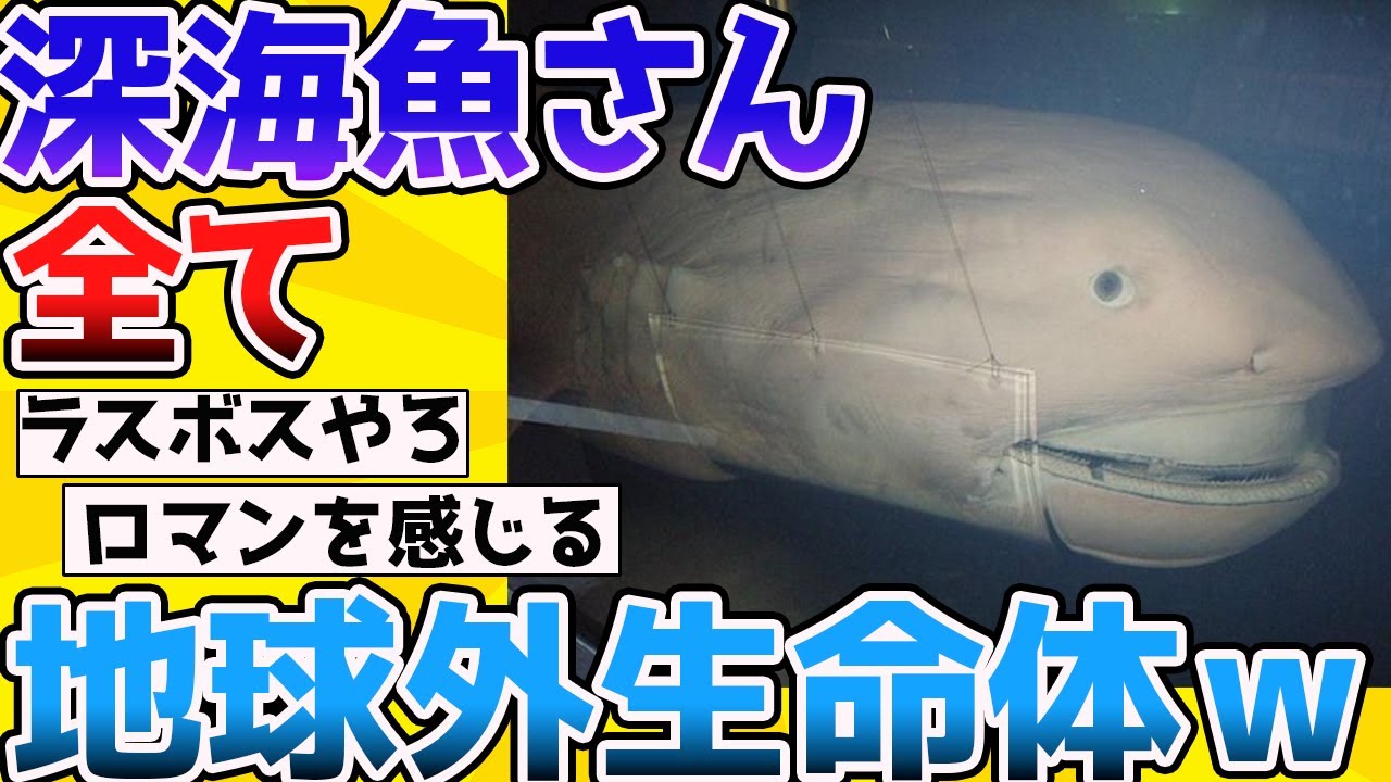 【2ch動物スレ】「深海魚」さん、どいつもこいつも意味わからな過ぎて地球外生命体だと話題に・・・→もはや恐竜よりもロマンがあるのでは？【生き物】