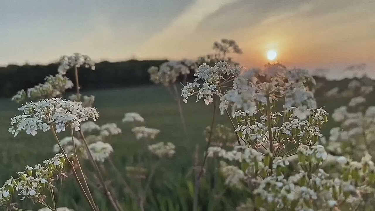 Music for the Soul – Emotional Instrumental That Touches the Heart