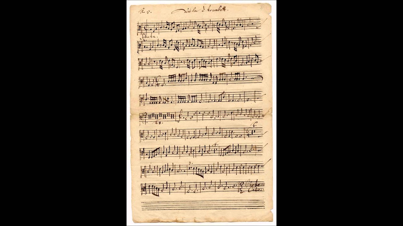 Paul Hainlein (1626 - 1686) - Sonata in c a 5 (Battalia) / Michaelis Consort