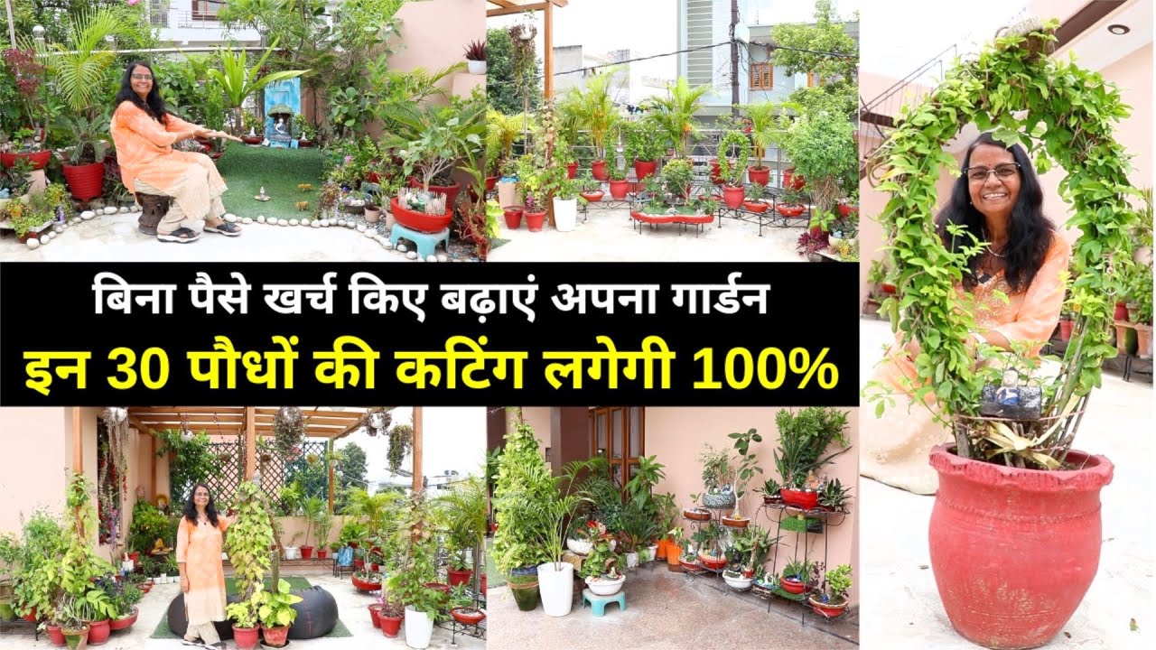 बिना नर्सरी जाए कटिंग से लगायें ये TOP 30 पौधे 😍 लगेंगे 100 %, Top Cutting Viral Plants