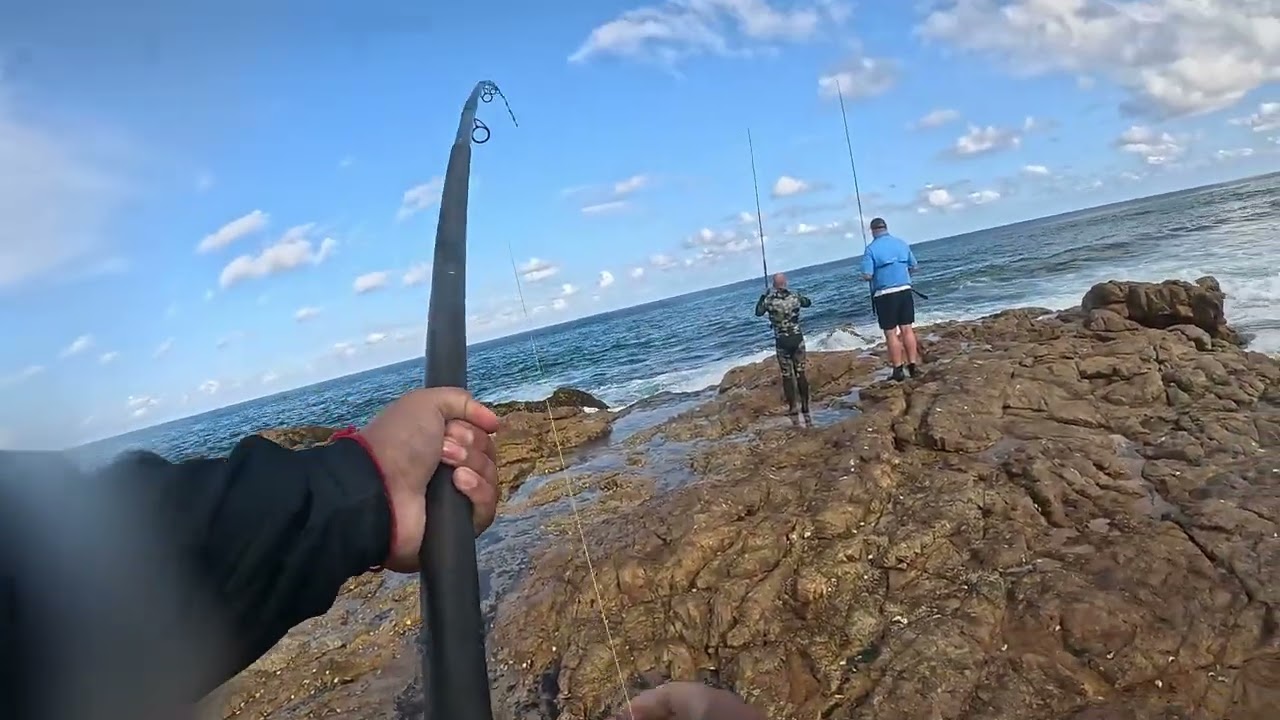 Lower South Coast Part 2