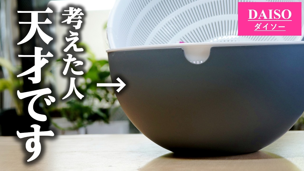 100均の「コレ、園芸用ですよね？」と言いたくなる”画期的な鉢”がこちら♪【観葉植物イワヒバ】