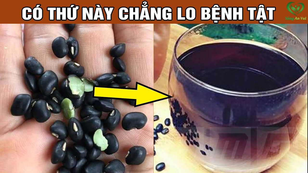 Công Dụng Của Đâu Đen Xanh Lòng, 99% Xem Xong Video Này Bạn Sẽ Trữ Ngay Trong Nhà Thần Dược Này