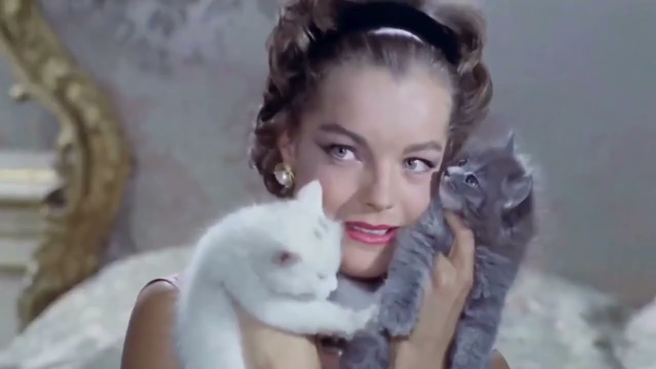 DIVA – Tribute to Legendary Women Icons