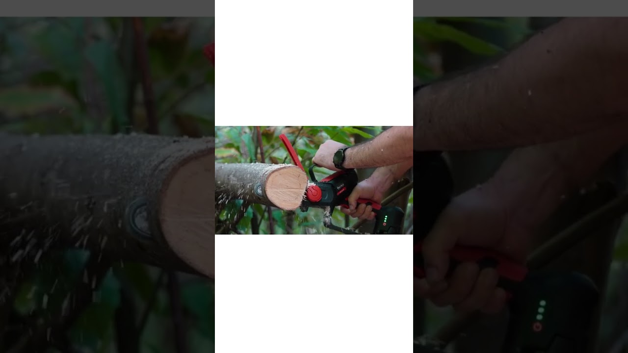 CHAINSAW - BLUEBIRD CS22-06 BATTERY PRUNER FAI DA TE - POTATORE A BATTERIA CS22-06 BLUEBIRD #shorts