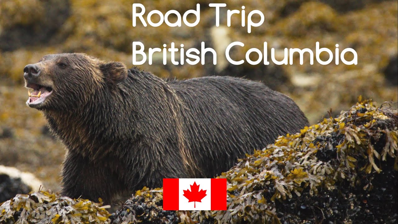 Kanada - British Columbia Road Trip
