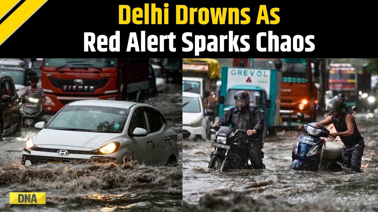 Delhi Rain Today: Red Alert Triggers Flooding, Flights Hit, Noida Wall Collapse