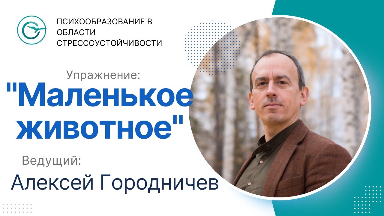 Упражнение 
