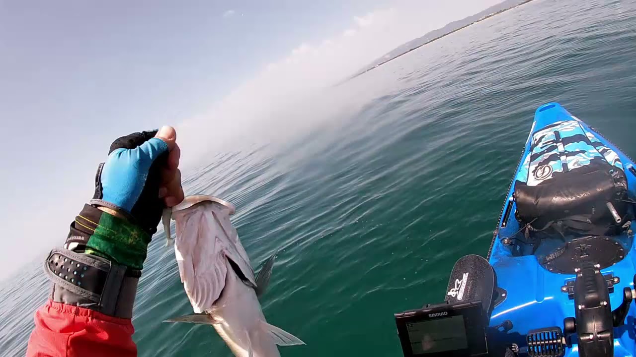 Jornada maratoniana de pesca desde kayak por Barcelona