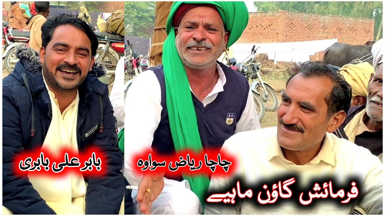 Farmaish Goon Mahiye | Babar Ali Babri • Chacha Riaz Sohawa • Punjabi Dohry Mahiye @FiazAhmad786