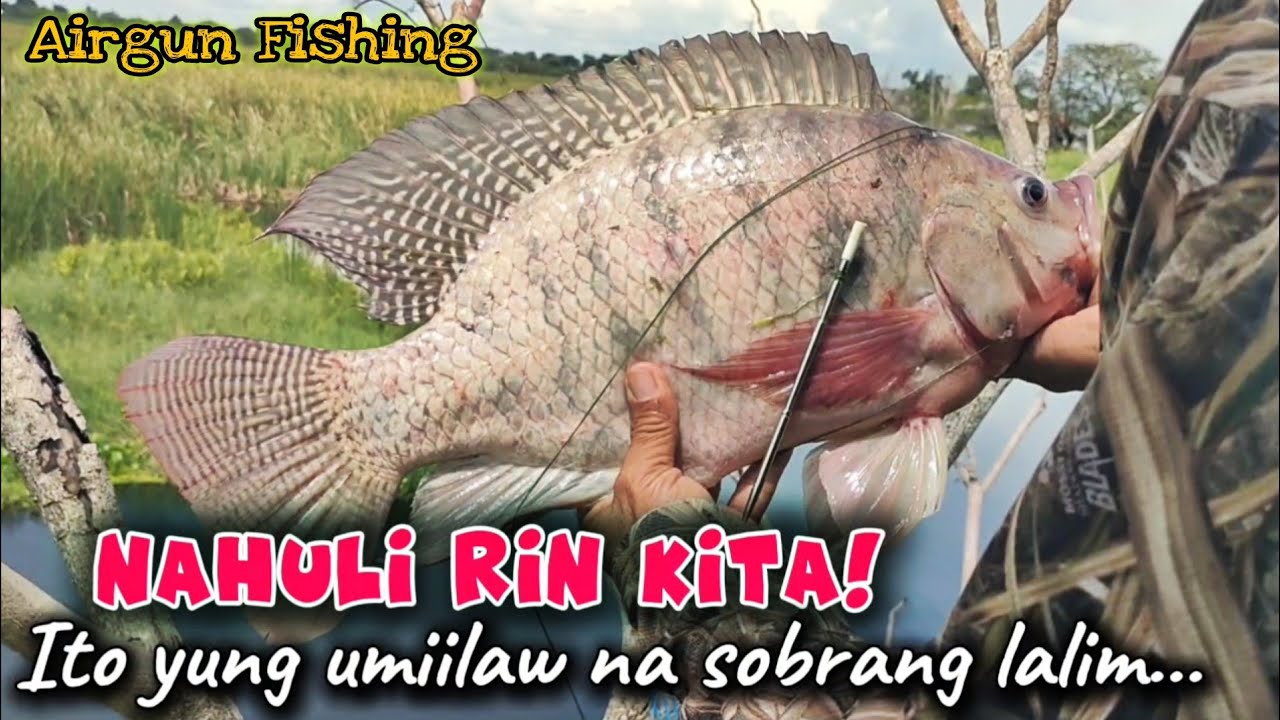 SWERTE  KAMI DALAWANG MALAKI/NAHULI KO YUNG UMIILAW LAKI PALA /AIRGUN FISHING/MHEDDS JOE TV/VLOG#530