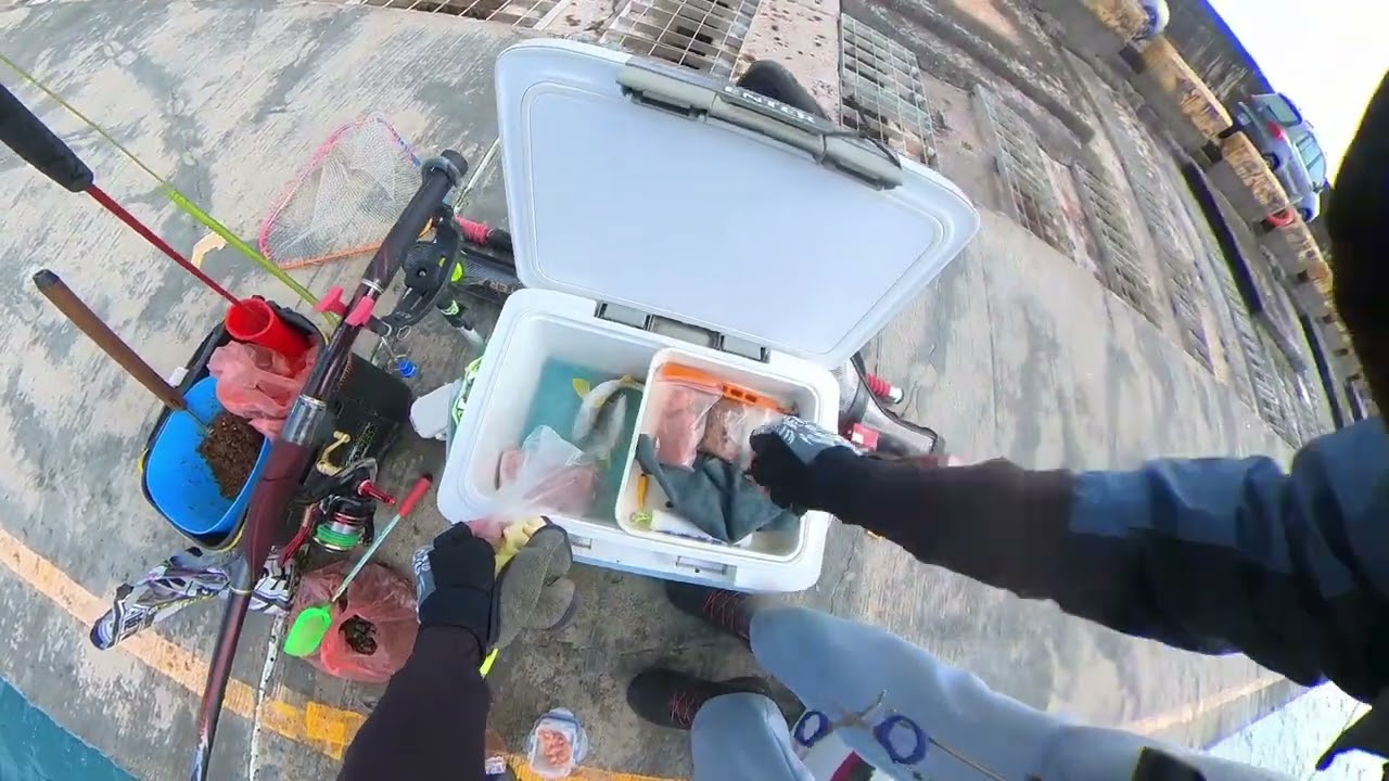 2026/03/17 一個人的台中港北堤釣魚，大咬日舒服的一天。