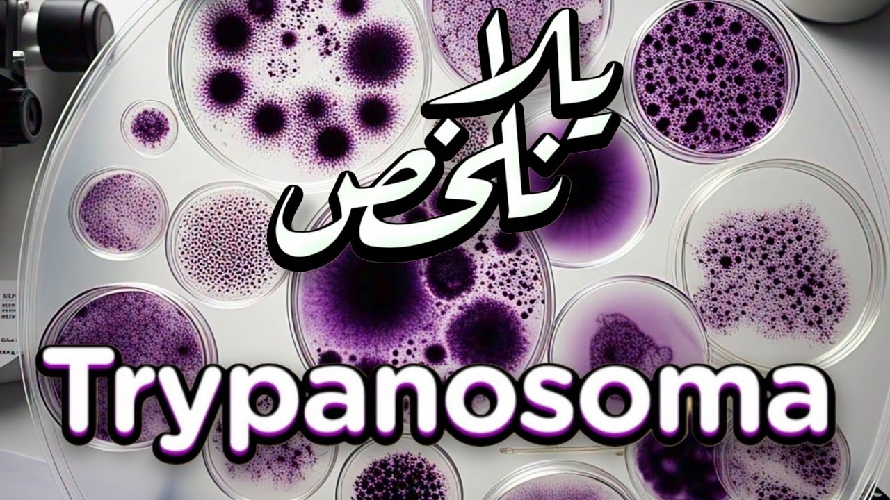  • طُفيل الترايبانوسوما | "Trypanosoma "Parasitology