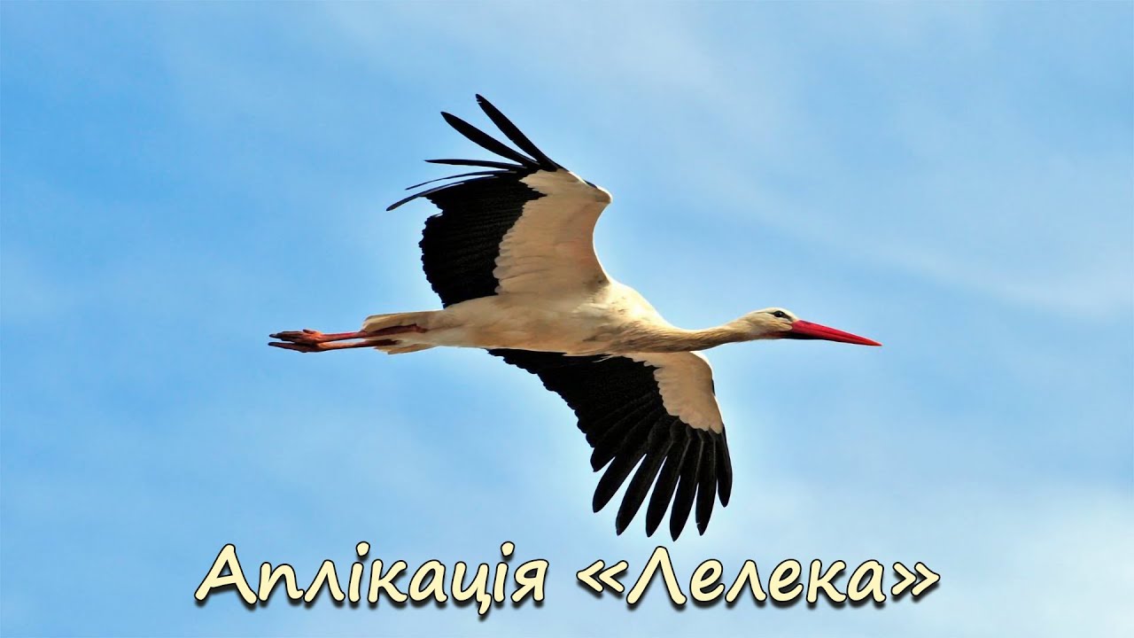 Аплікація 