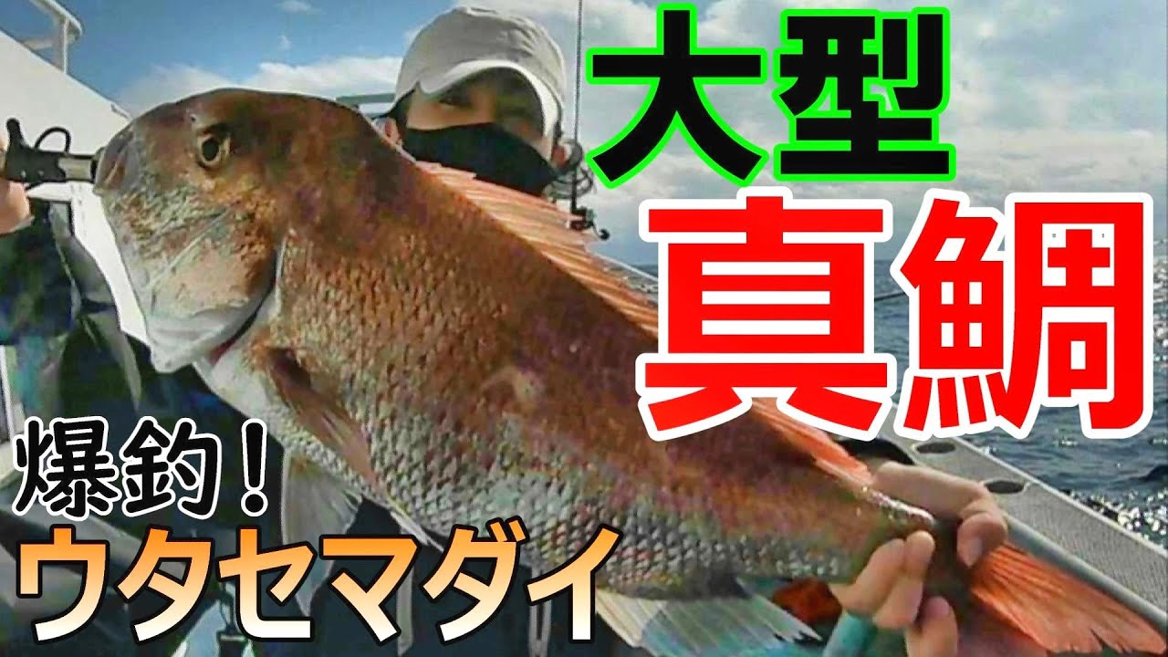 【船釣り・過去1番サイズ】爆釣ウタセマダイ