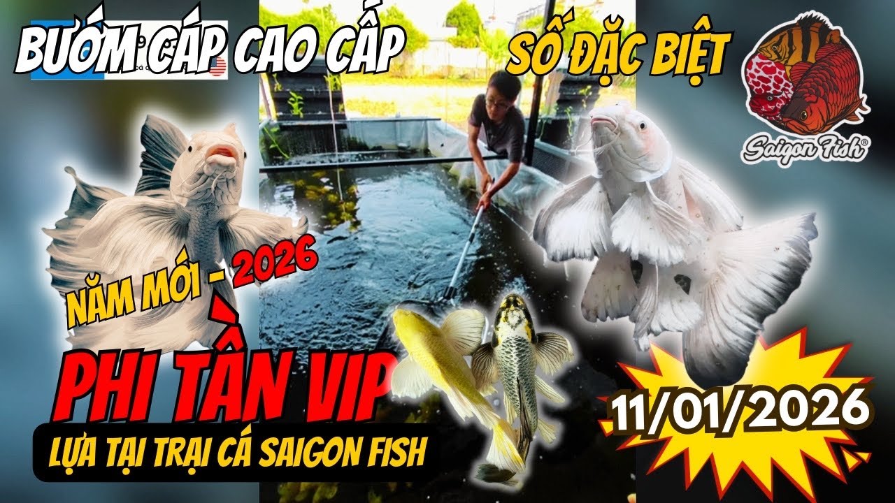 Tuyển Tập Đặc Biệt | Xuống Tận Trại Săn Cá Sư Tử & Chép Phi Tần Siêu Đẹp Phục Vụ Anh Em Đẳng Cấp