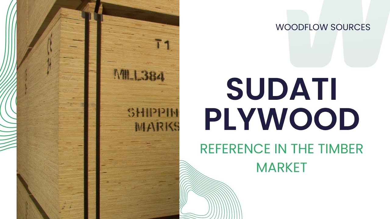 Inside Sudati: Exploring Brazil's Largest Plywood Exporter (Part 02)