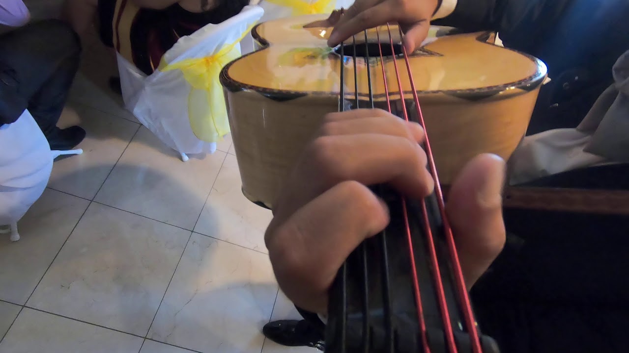 Mariachi Rey De Mexico - La Media Vuelta