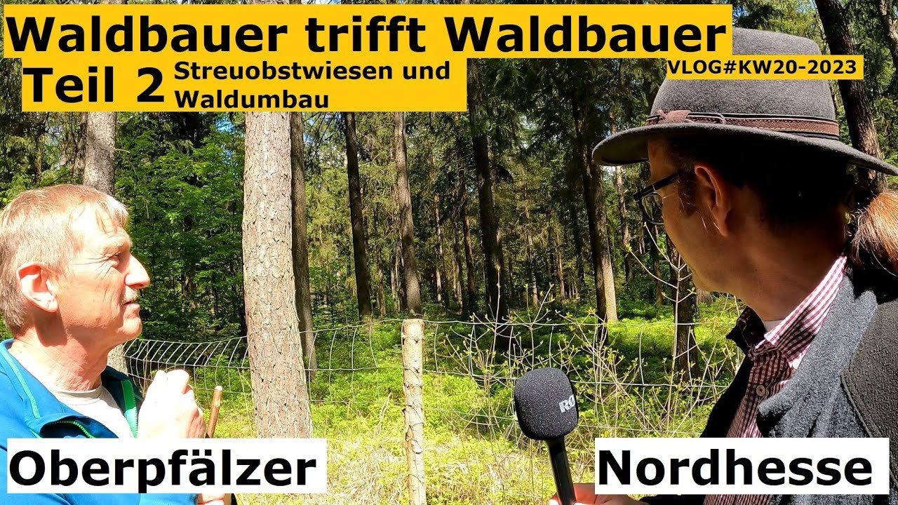 Streuobst- und Wald-Freunde: Obstwiesenanlage und Waldumbau