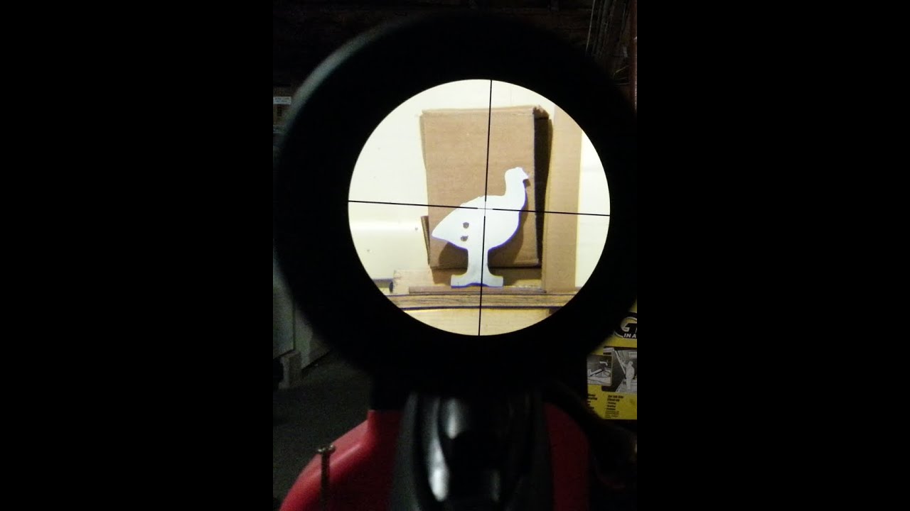 Scope Set UP.  Basics Metallic Silhouette