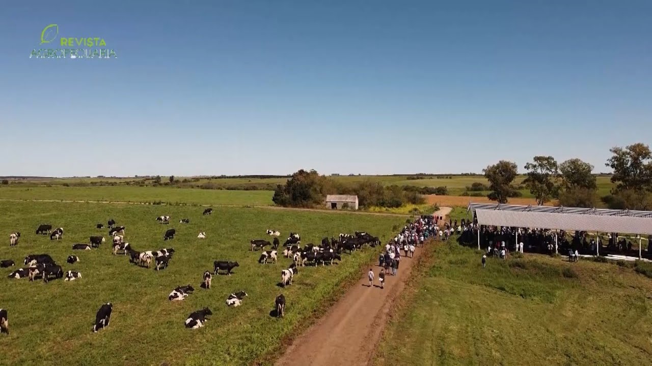 Revista Agropecuaria TV – Viernes 10 de Octubre de 2025.