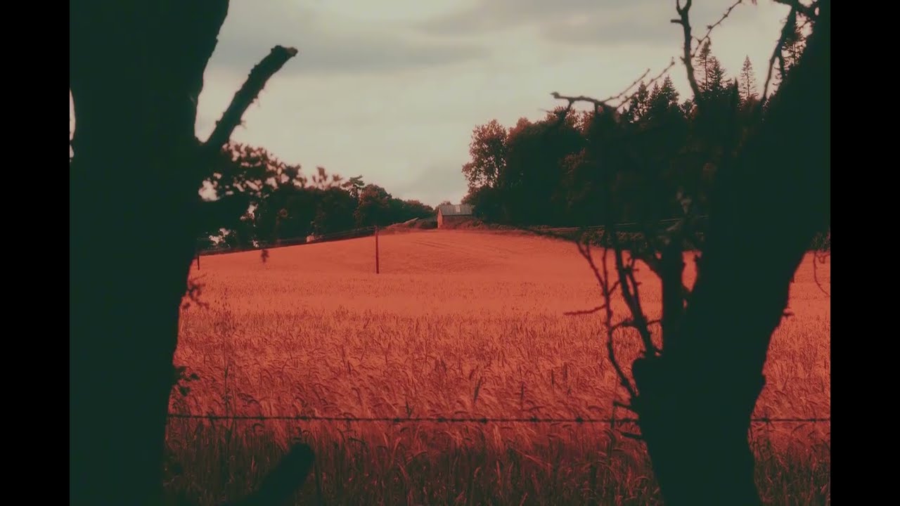 Anamnesis — Dreamlike Ambient Album | Vintage Aesthetic Visual Journey