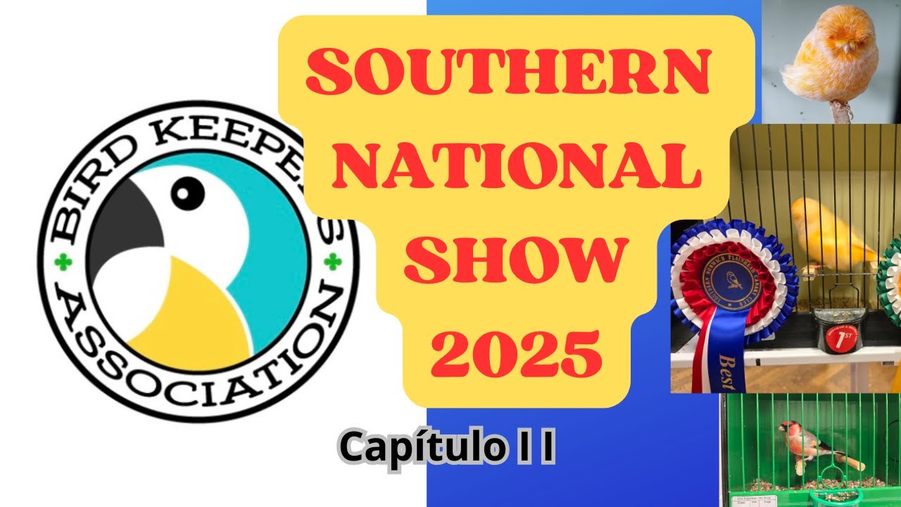 Southern National Show capítulo II
