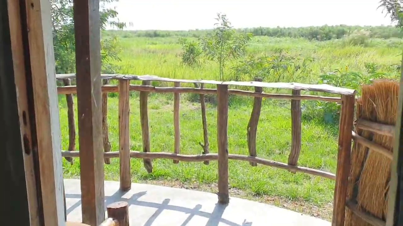 Hornbill Bush Lodge | Lodge by Murchison Falls National Park