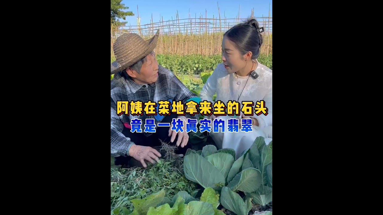 阿姨在菜地拿来坐的石头，竟是一块翡翠？ #翡翠 #翡翠手镯 #翡翠定制 #翡翠珠宝