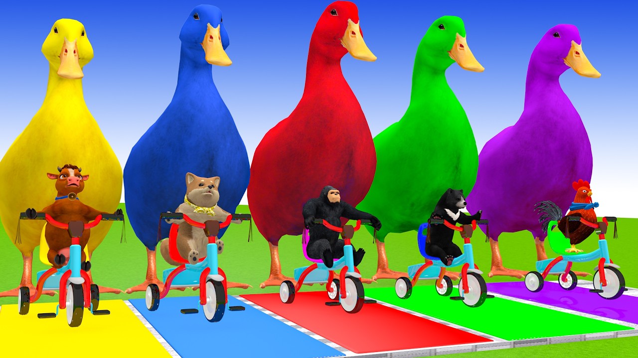 Long Slide Game With Cow Elephant Gorilla Hippopotamus Tiger 3d Animal Game Funny 3d Animals