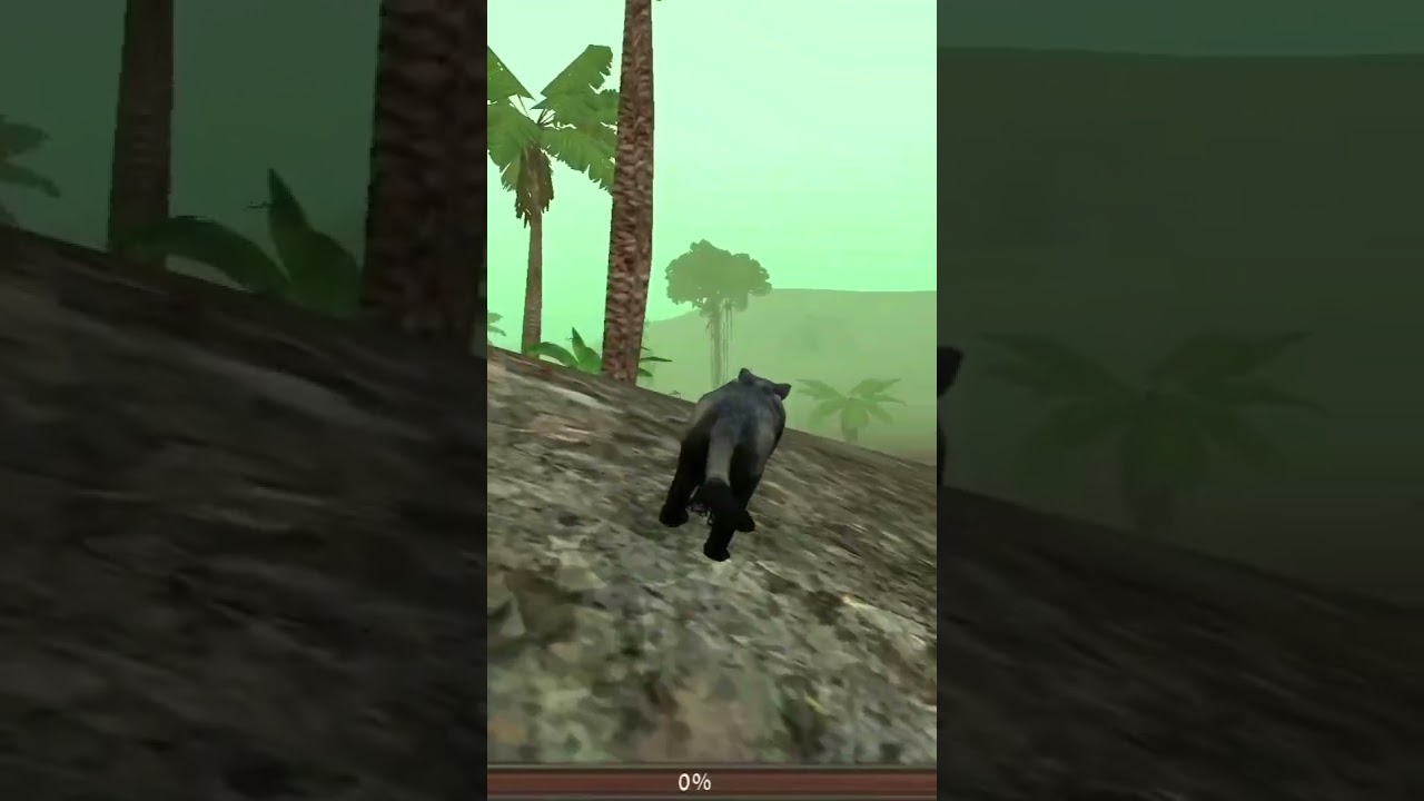 @Wild Panther Simulator 🦁 🦁🐯🎉👑3D