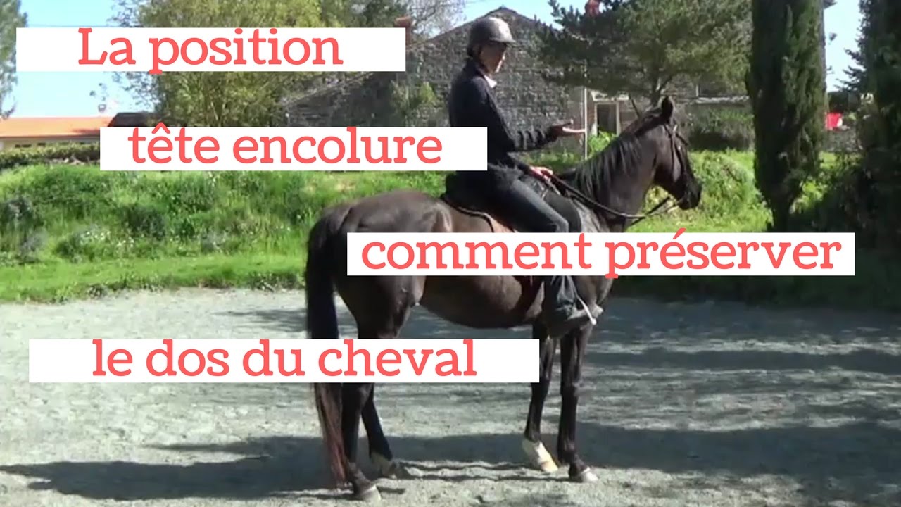 LA POSITION TÊTE ENCOLURE : comment ne pas abîmer les vertèbres