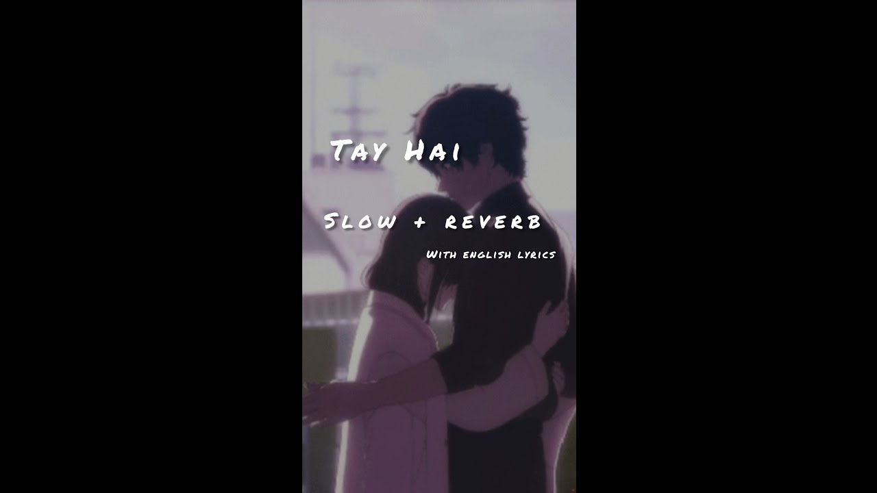 Tay hai [slow+reverb] with english lyrics