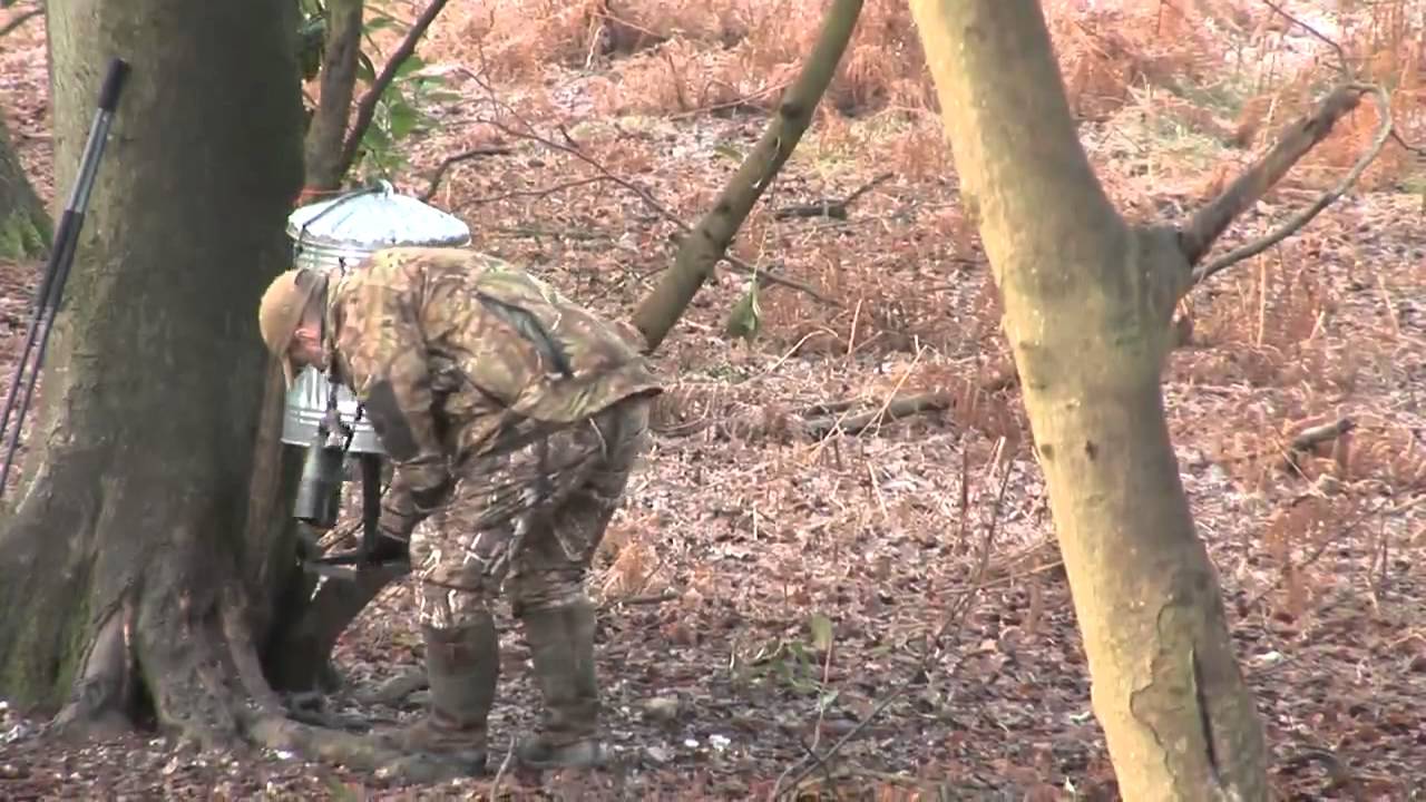 Stalking muntjac in Oxfordshire