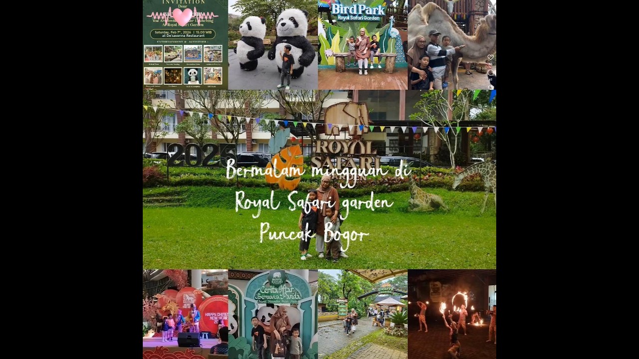 Malam mingguan di Royal safari garden