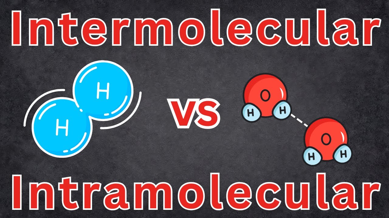 Intramolecular And Intermolecular Forces Explained! Chemistry, Chemical Bonds, High School Chemistry