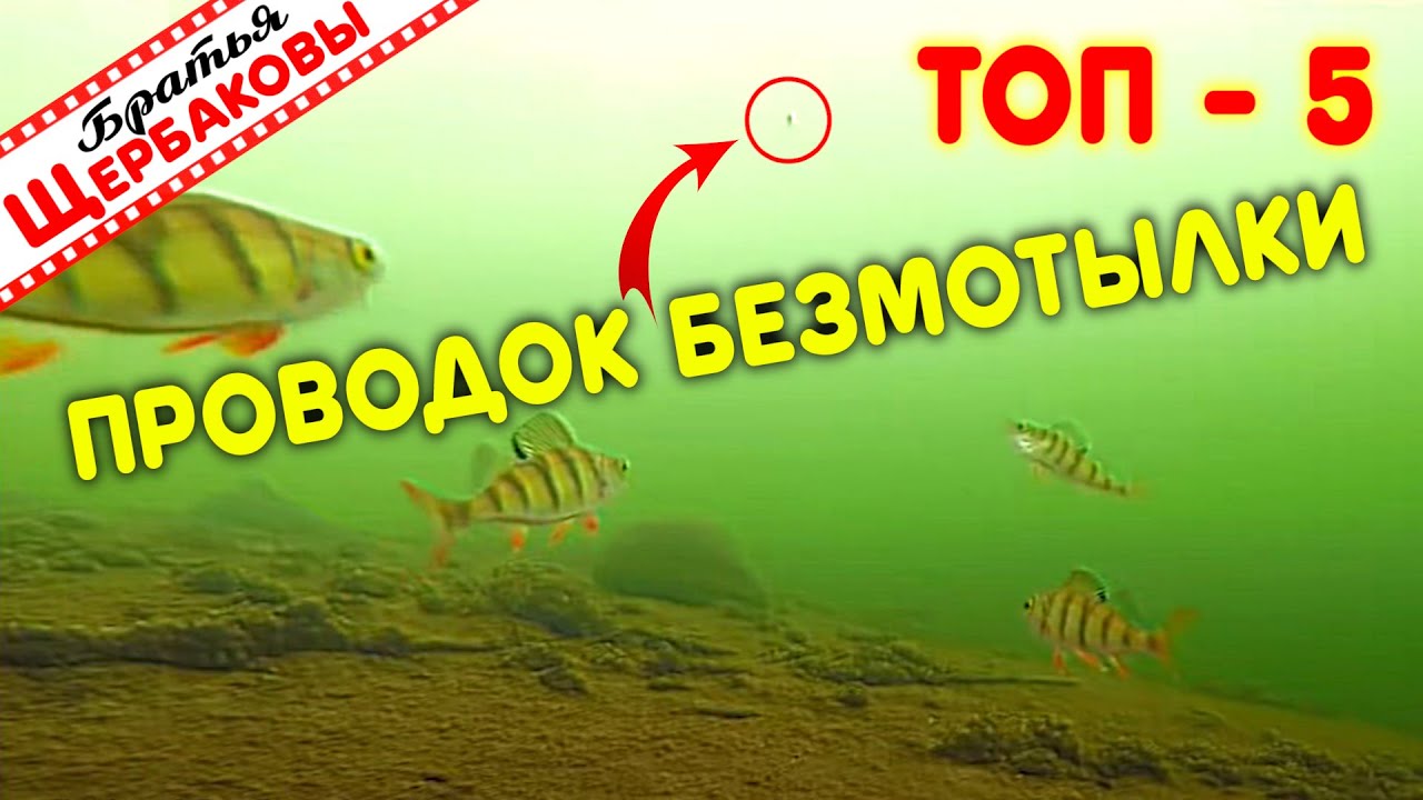 Любимые БЕЗМОТЫЛЬНЫЕ ПРОВОДКИ. Зачем чередовать приёмы игры. Подводные съемки. Реакция рыбы