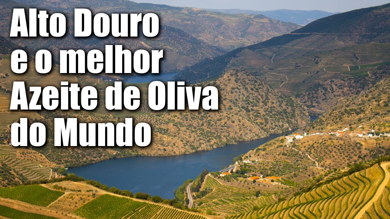 Em busca do melhor Azeite de Oliva do mundo! Será? Uma aventura no Alto Douro - Portugal - 012