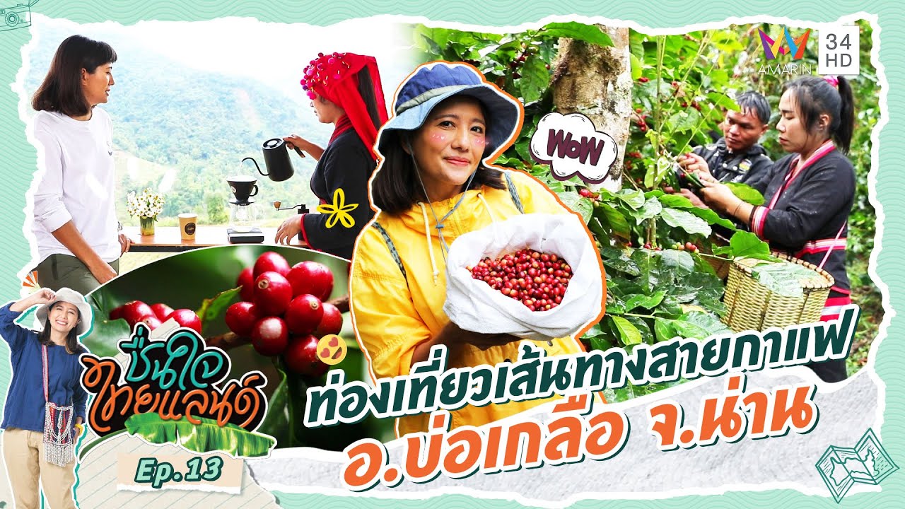 ท่องเที่ยวเส้นทางสายกาแฟ อ.บ่อเกลือ จ.น่าน | ชื่นใจไทยแลนด์ EP.13