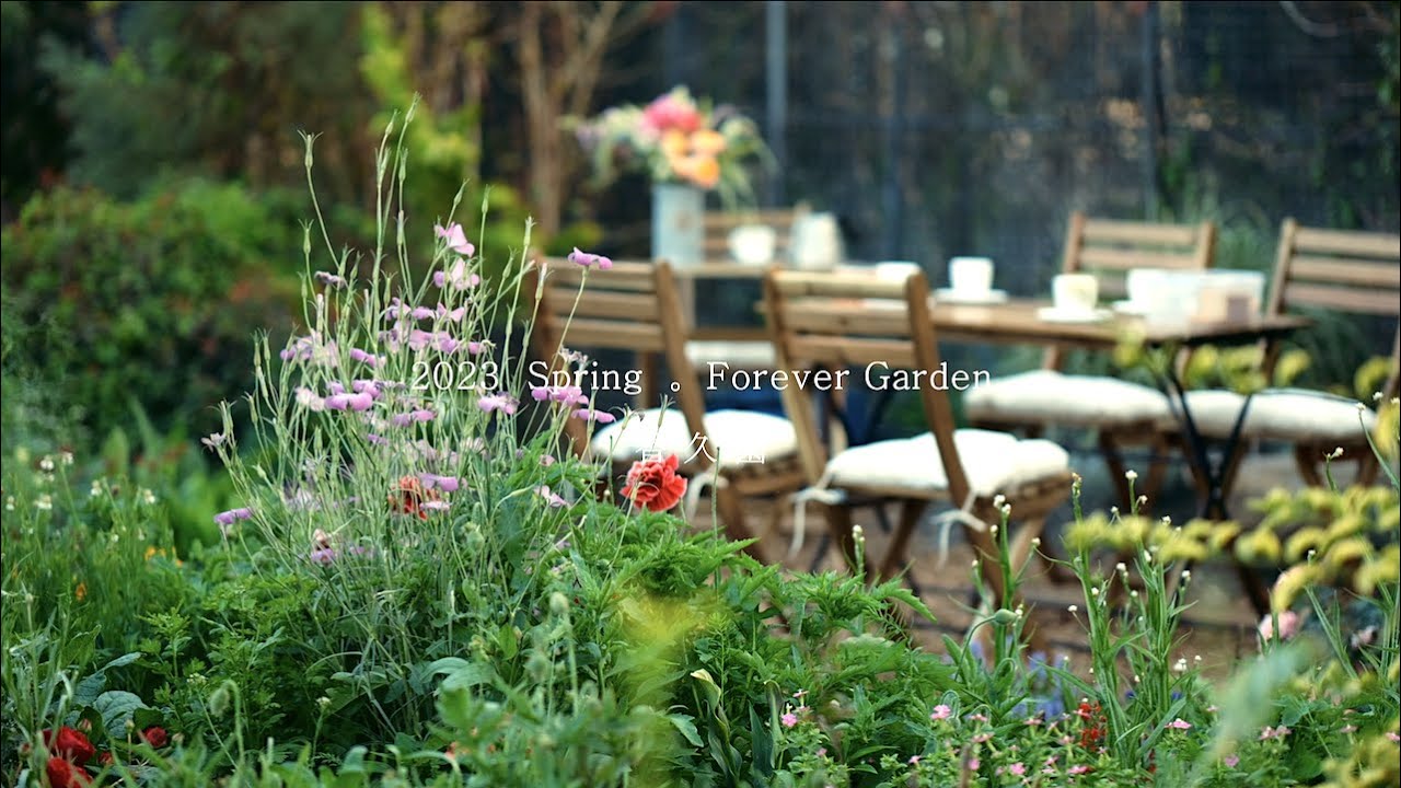 期間限定！一年僅開放春天的夢幻台灣花園！香久園 Forever Garden