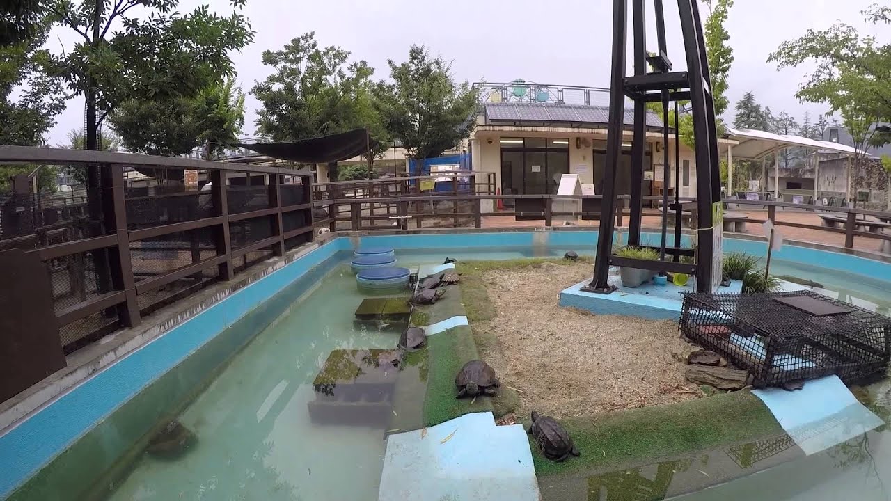 Ke Zoooo (Kyoto City Zoo)