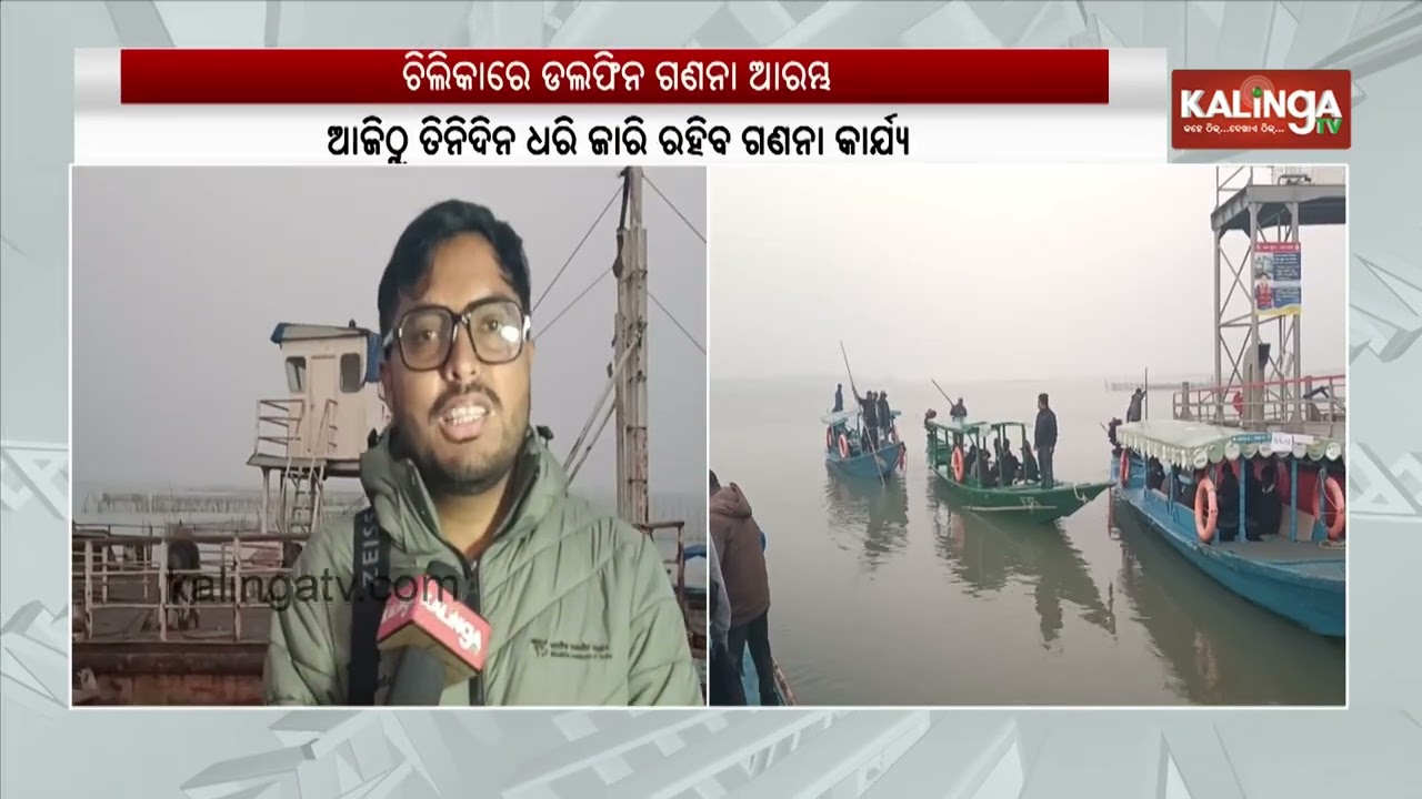 Chilika lake dolphin census starts today | Kalinga TV