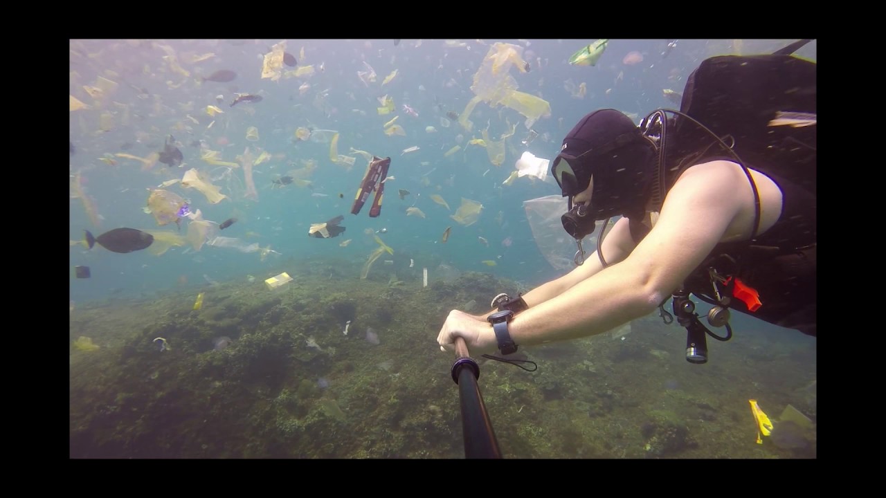 The Continuous Plankton Recorder (CPR) Survey and ocean plastics