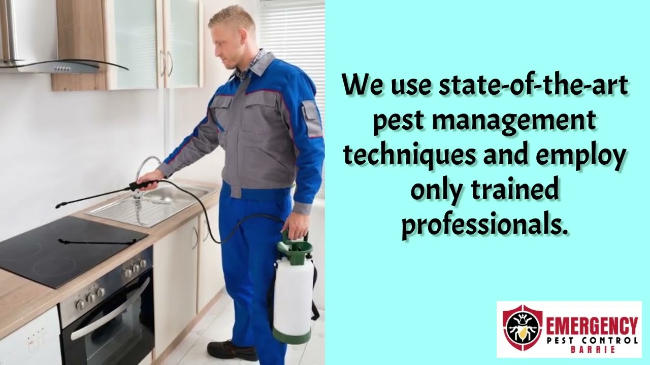 Pest Control Service - Emergency Pest Control Barrie