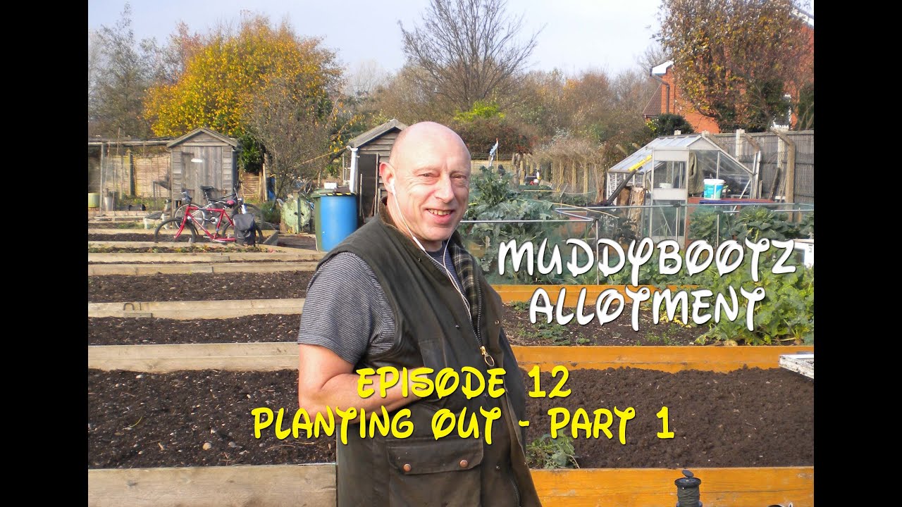 MuddyBootz Allotment #12 - Planting Out ~ Part 1