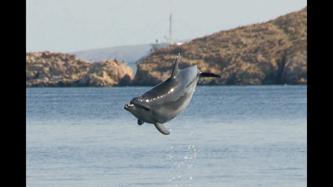 Rab, Barbat, Kroatien, Urlaub, 2012