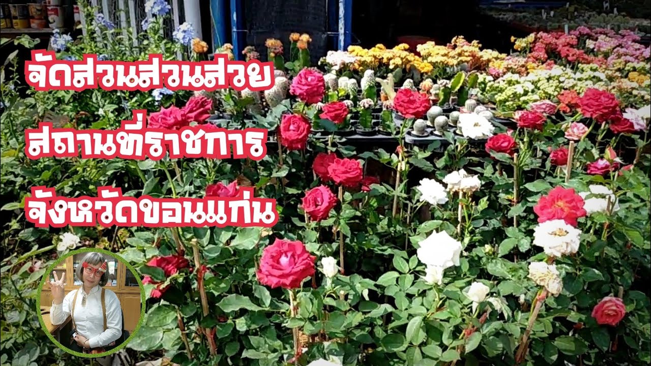 จัดสวนสวนสวยสถานที่ราชการ จ ขอนแก่น