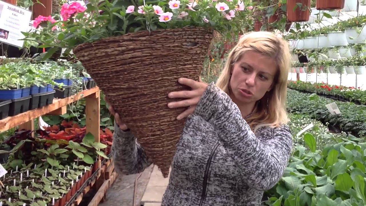Johnny Flame Petunia Hanging Basket Mix