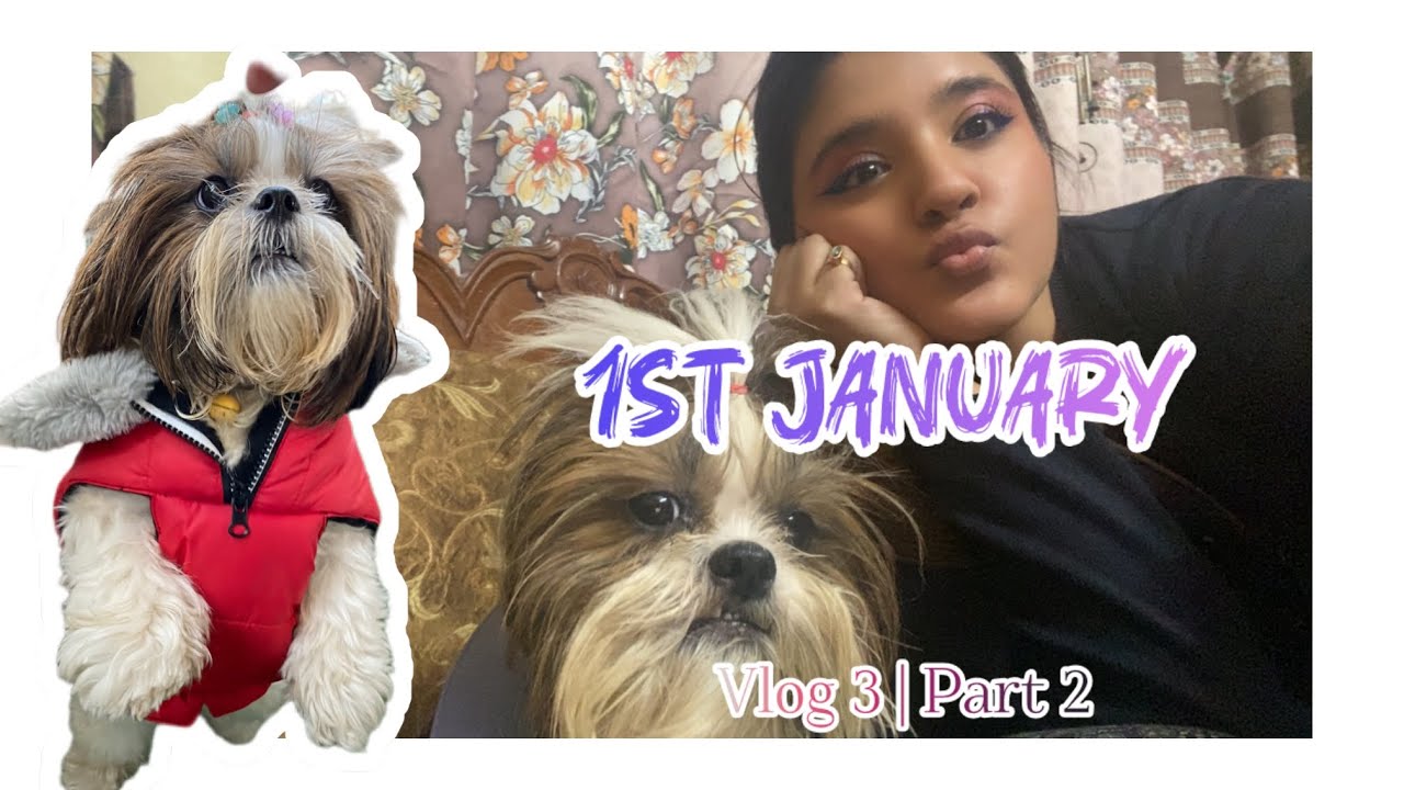 1st January 2026  🧿| Vlog 3 | PART 2 | Bengali Vlog | Abhirupa Laha