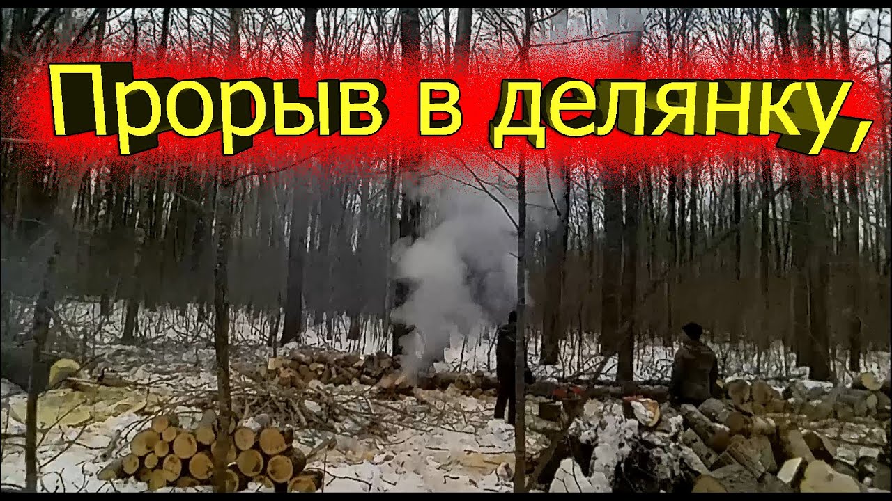 Прорыв в делянку, часть 1 заготовка дров, не удачная валка леса,